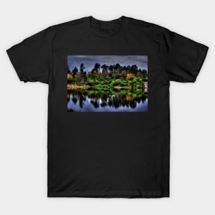 Nelly's Moss South Lake T-Shirt